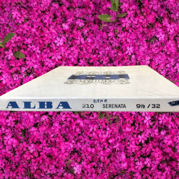 Alba Nylon Stockings Dark SEAM Sheer Leg Garter Hosiery New in Open Box 9 1/2/32 - Picture 8 of 12